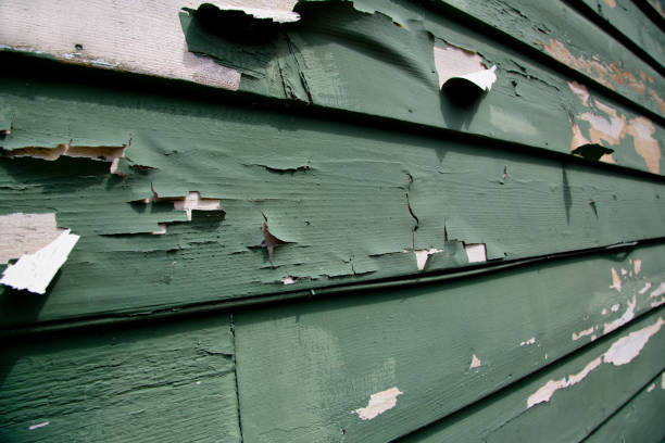 Best Same-Day Junk Removal Services  in Mineola, NY